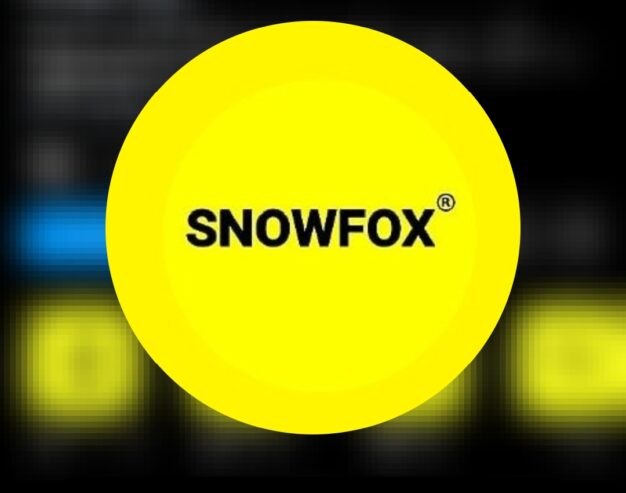 SnowFoxNg Consulting Agency