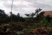 Half Plot of Land for sale, in ifo ogun State iyana coker bus stop Akinsendinde powerline ibogun road