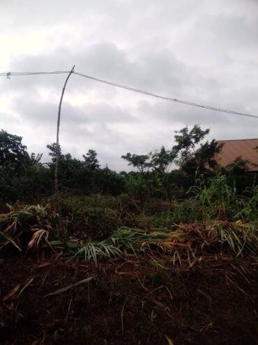 Half Plot of Land for sale, in ifo ogun State iyana coker bus stop Akinsendinde powerline ibogun road