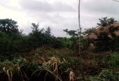 Half Plot of Land for sale, in ifo ogun State iyana coker bus stop Akinsendinde powerline ibogun road