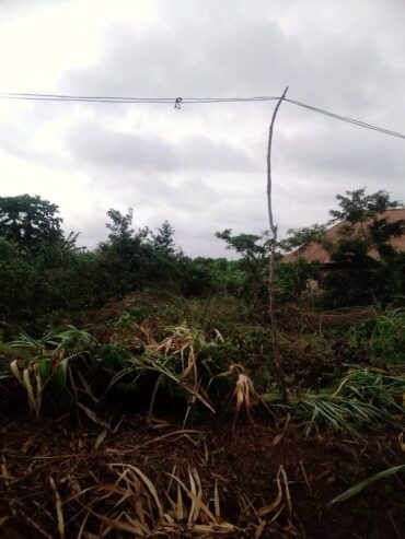 Half Plot of Land for sale, in ifo ogun State iyana coker bus stop Akinsendinde powerline ibogun road