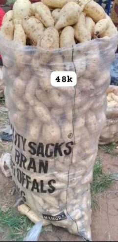 Potatoes full bag